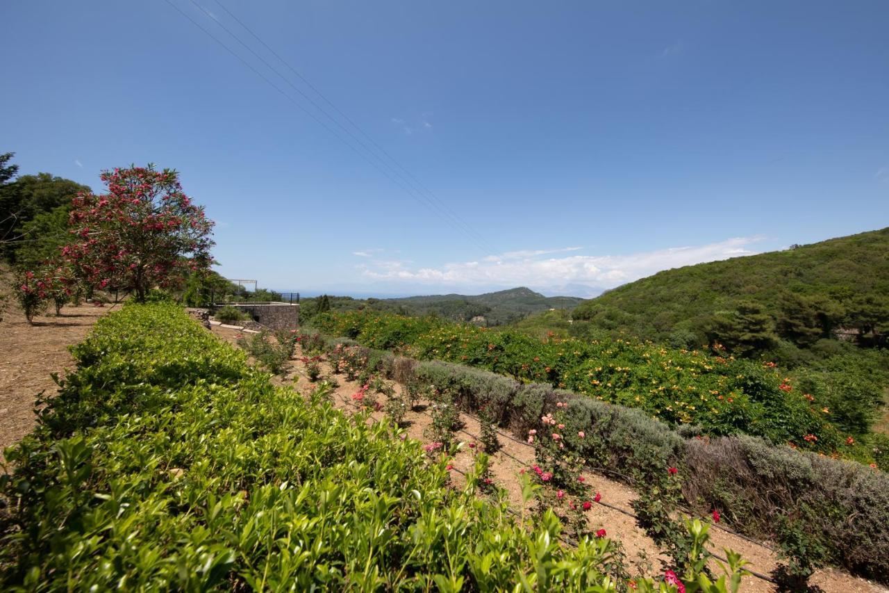 Agallis Corfu Residence Sokrákion 외부 사진